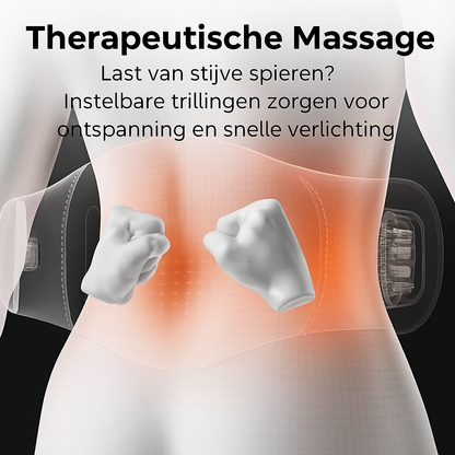 3 in 1 Rugmassage kussen