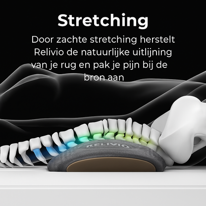 3 in 1 Rugmassage kussen